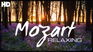 The Best Relaxing Classical Music Ever By Mozart  Relaxation Meditation Reading Focus [upl. by Merv170]