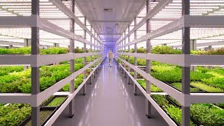 Growing Up How Vertical Farming Works [upl. by Leitao]