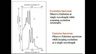 Excitation and emission Spectra in fluorescence [upl. by Sholes]