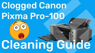 How to Clean a Severely Clogged Canon Print Head – Freehand Graphics™ [upl. by Auot]