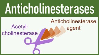 Anticholinesterase Agents Organophosphates amp Carbamates [upl. by Yramanna]