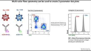 Lecture 7b Flow Cytometry [upl. by Aranaj]