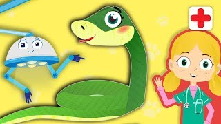 Sally The Snake Visits Dr Poppys Pet Rescue  Animals For Toddlers [upl. by Innep]