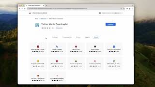 Twitter Media Downloader [upl. by Evreh510]