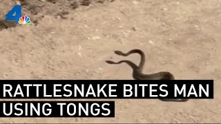 Rattlesnake Bites Man Who Picked It Up With Barbecue Tongs  NBCLA [upl. by Attej]