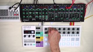 Handson Arturia BeatStep Pro step sequencercontroller [upl. by Ambrogino]