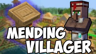 How to Make a MENDING Librarian Villager Fast and Easy Method Working 2021 ALL VERSIONS Minecraft [upl. by Yelrahc]