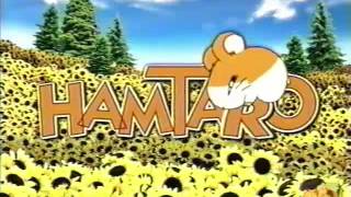 Hamtaro  Cartoon Network  Bumper  2003 [upl. by Arias]