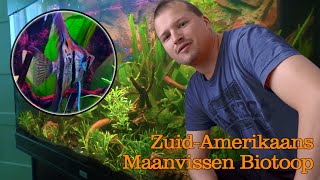 Maanvissen biotoop aquarium inrichten [upl. by Paco]