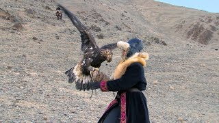 How did an Oklahoma woman start hunting with eagles in Mongolia [upl. by Rosel]