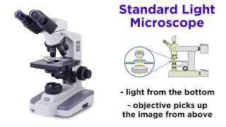 Light Microscopy Function and Utility [upl. by Oriane]