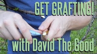 Get Grafting Instructional with David The Good learn 3 easy grafts amp lose your fear of grafting [upl. by Anaehr888]