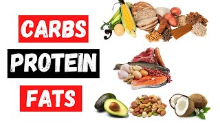 Carbs Protein Fat Explained [upl. by Agnes]