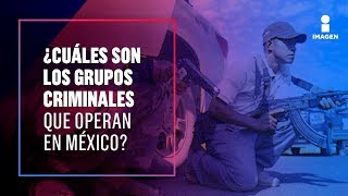 Ellos son los cárteles de droga que operan actualmente en México  Noticias con Francisco Zea [upl. by Clarissa25]