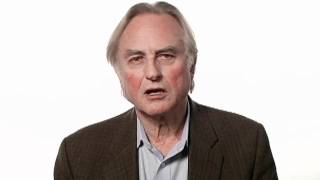 Richard Dawkins Faith  Big Think [upl. by Domella]