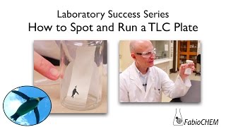 How to Spot and Run a TLC Plate [upl. by Farrand]