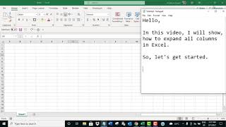 Expand all columns in Excel [upl. by Haliled]