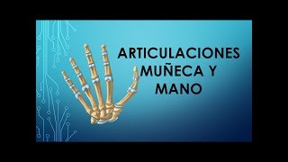 Articulaciones muñeca y mano [upl. by Stimson]