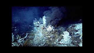 The Deepest Place On Earth Mariana Trench  Documentary [upl. by Diver515]