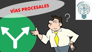 VÍAS PROCESALES [upl. by Zadack]