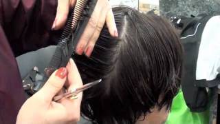 HAIRCUTTING Layer haircut with scissors [upl. by Isteb316]