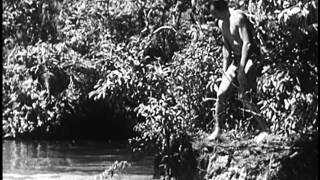 The New Adventures of Tarzan 1935 BRUCE BENNETT [upl. by Martinsen]