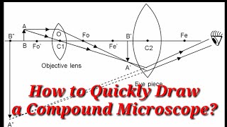 How to Quickly Draw a Compound Microscope  English [upl. by Naillimxam]