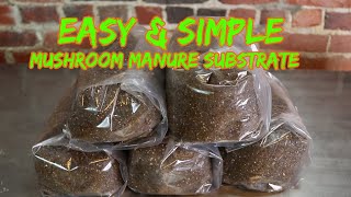 Simple Manure Based Substrate [upl. by Scrivenor608]