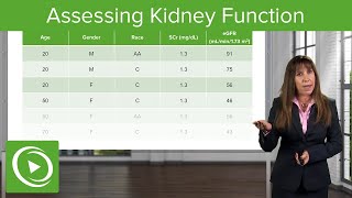 Assessing Kidney Function Glomerular Filtration Rate GFR Nephrology Lecturio [upl. by Ainahpets404]