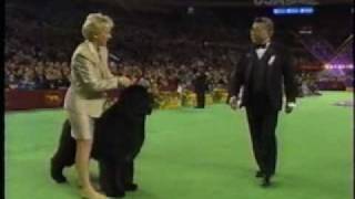 The 2004 Westminster Kennel Club  Josh the Newfoundland [upl. by Zobias]