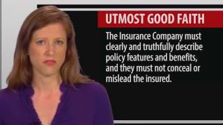 3 Legal Concepts of the Insurance Contract [upl. by Bergwall]