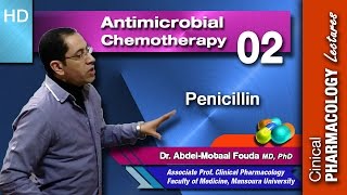 Antimicrobial chemotherapy Ar  02  Penicillin [upl. by Ivatts]