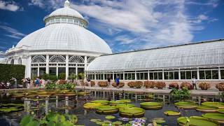 Tourist in Your Own Town 51  New York Botanical Garden [upl. by Polish]