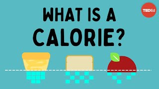 What is a calorie  Emma Bryce [upl. by Aleil31]