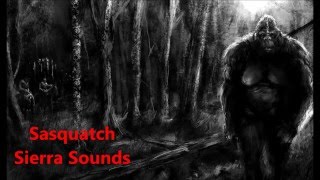 Sasquatch Sierra Sounds by Ron Morehead amp Al Berry in HD [upl. by Adnarom618]