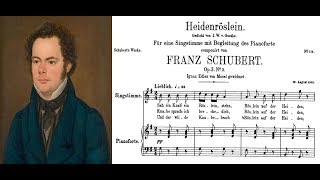 Franz Schubert  Heidenröslein Sheet music and lyrics [upl. by Frendel622]