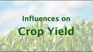 Influences on Crop Yield [upl. by Eleonore]