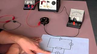 setting up ohms law circuit [upl. by Loyce]