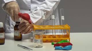 THE REACTION OF VARIOUS ALCOHOLS WITH SODIUM [upl. by Pinckney]