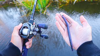 Catch 10x MORE Bass  TRY THIS Bass Fishing Tips [upl. by Imeon]