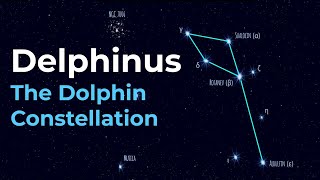 How to Find Delphinus the Dolphin Constellation [upl. by Berkshire]