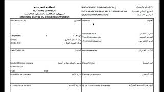 Engagement dimportation Titre d’importation PortNet [upl. by Nit]