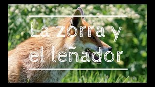 Fábula de Esopo en español  La zorra y el leñador [upl. by Daney]