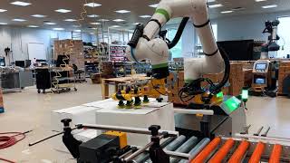 FANUC CRX Collaborative Robot  FANUC Cobot  PalletizCRX [upl. by Marr]