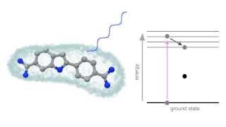 Fluorescence Animation [upl. by Eno]