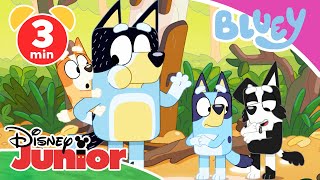 🐍 Bluey  Clip Der Bach  Disney Junior [upl. by Helmut]