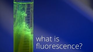 What is Fluorescence [upl. by Carlene]