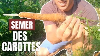 Tuto jardin  Comment semer des carottes [upl. by Gnidleif]