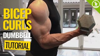 Bicep Curls — DUMBBELL FORM amp TECHNIQUE [upl. by Asum224]