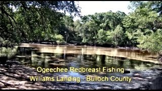 Ogeechee River Redbreast Fishing  Williams Landing Bulloch County GA [upl. by Gall]